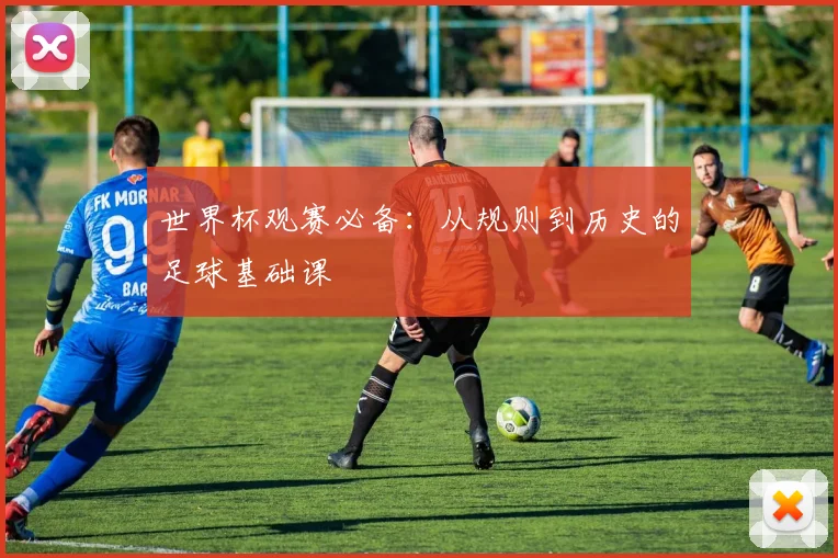 世界杯观赛必备：从规则到历史的足球基础课