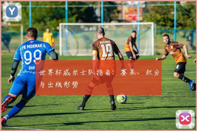 世界杯威尔士队指南:赛果、积分与出线形势