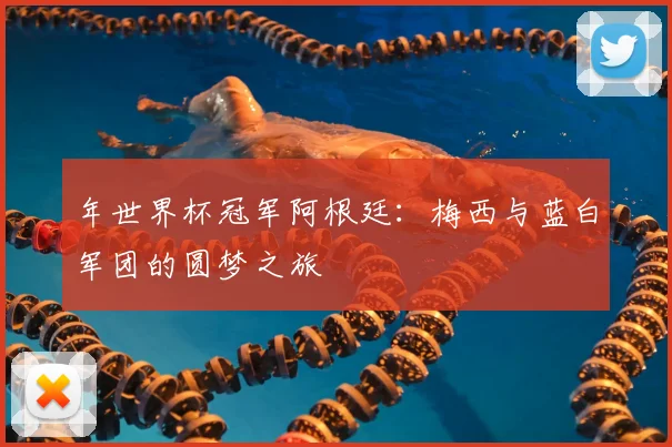 年世界杯冠军阿根廷：梅西与蓝白军团的圆梦之旅