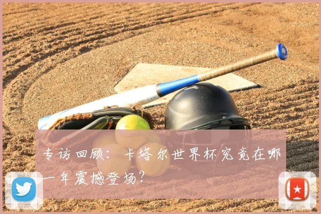 专访回顾:卡塔尔世界杯究竟在哪一年震撼登场?