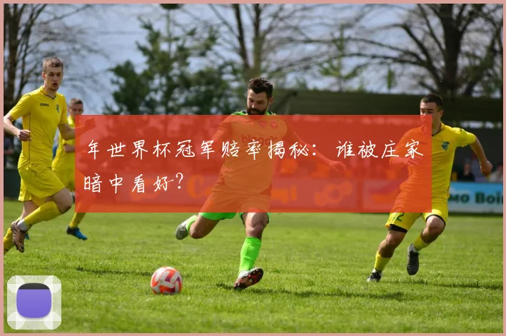 年世界杯冠军赔率揭秘：谁被庄家暗中看好？