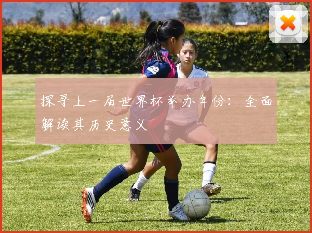 探寻上一届世界杯举办年份:全面解读其历史意义