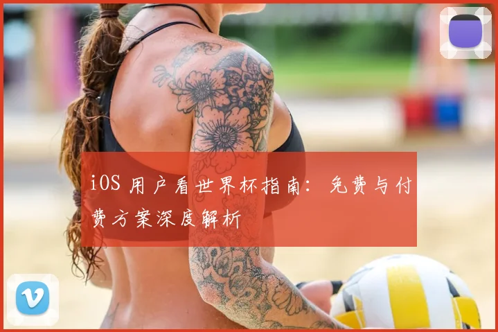 iOS 用户看世界杯指南：免费与付费方案深度解析