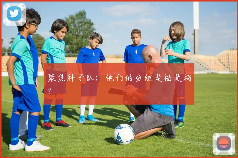 聚焦种子队：他们的分组是福是祸？