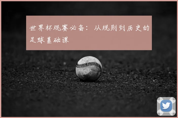 世界杯观赛必备：从规则到历史的足球基础课