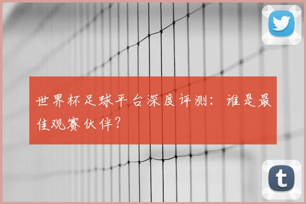 世界杯足球平台深度评测:谁是最佳观赛伙伴?