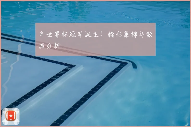 年世界杯冠军诞生！精彩集锦与数据分析