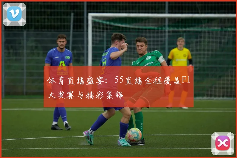 体育直播盛宴：55直播全程覆盖F1大奖赛与精彩集锦