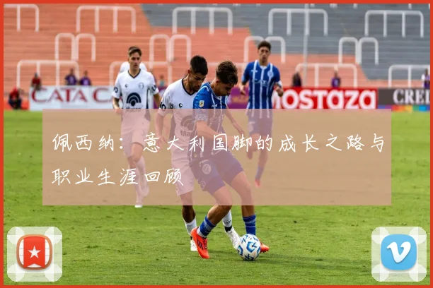 佩西纳：意大利国脚的成长之路与职业生涯回顾
