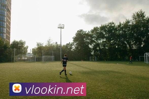 开云app网站全站App